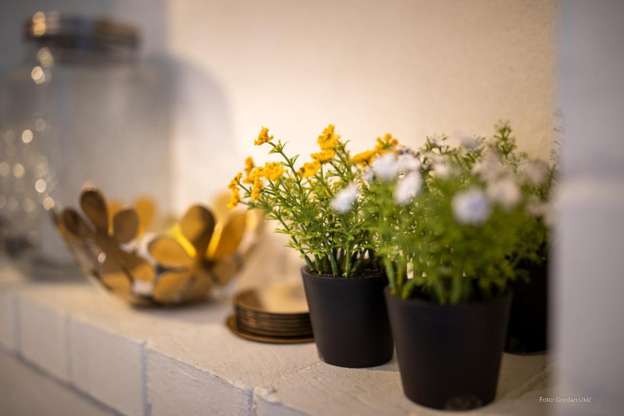 Nata Apartment 4 Stars Rovinj Luaran gambar